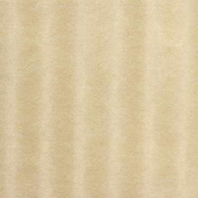 Kravet Whoa Nelly Blonde Fabric